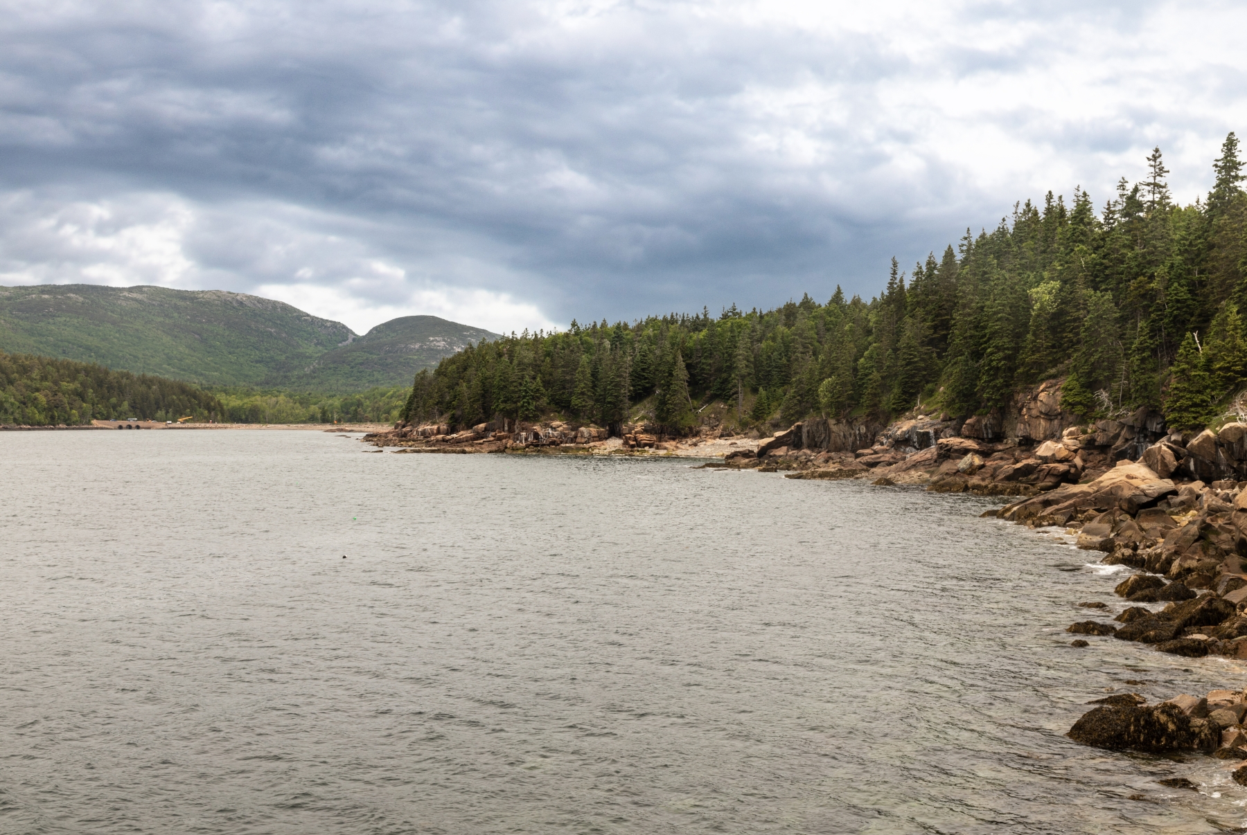 Arcadia NP June 2024